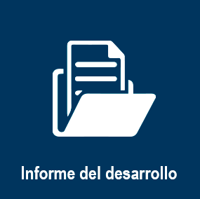 Informe del desarrollo